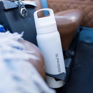 Lifestraw GO 2.0 Stalen Waterfles 700ml - Outdoor Food