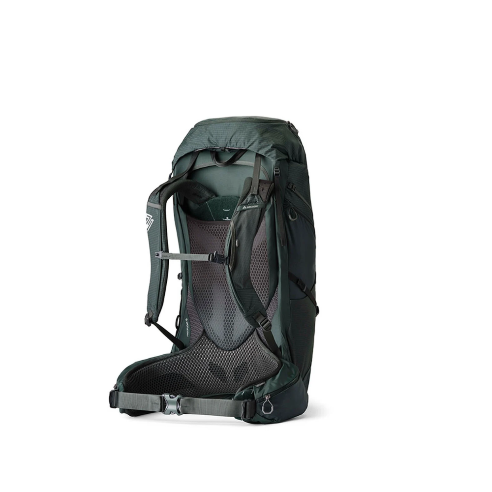 Gregory • Paragon 60 RC • Lichtgewicht Trekkingrugzak 60L • Man