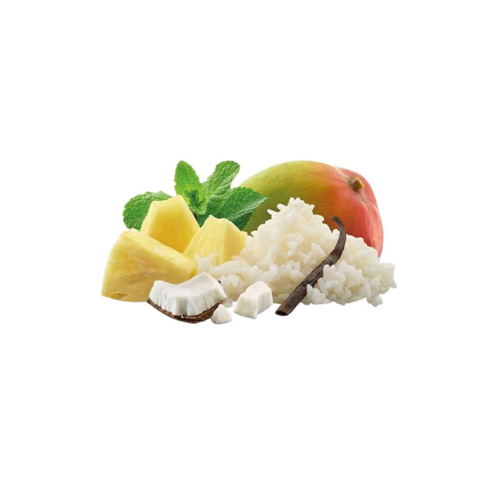 Adventure food Tropical rice dessert
